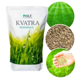 nasiona-trawy-dlf-kvatra-regeneracja-dosiew-odswiezenie-trawnika-zycia-10kg