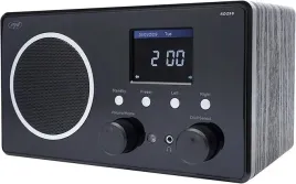 radio-dab-pni-rd290-100