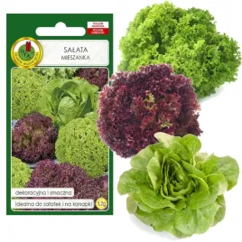 mieszanka-salat-dekoracyjna-i-smaczna-odmiana-czerwona-zielona-karbowana