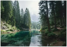 fototapeta-las-rzeka-natura-pejzaz-sypialnia-salon-tapeta-flizelina-350x250