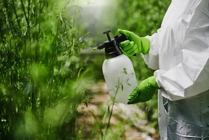 rekawice-gogrip-green-nitrylowe-l-stan-nowy-typ-bezpudrowe