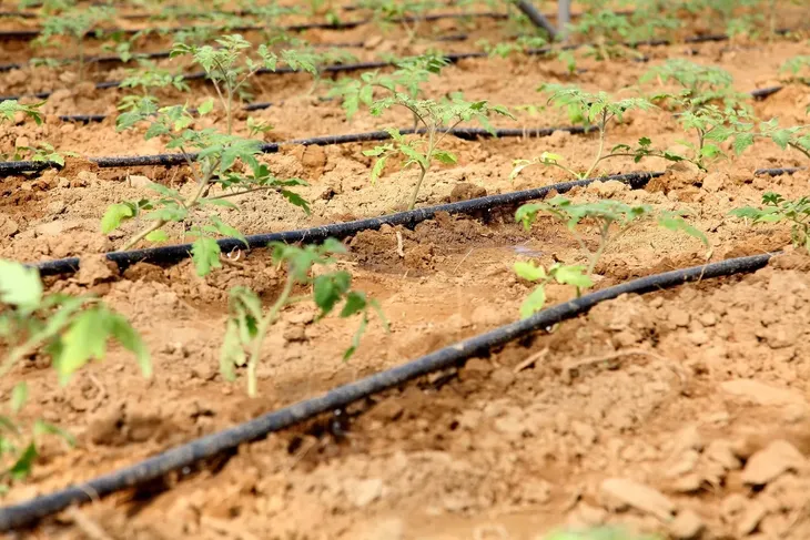 nypel-bradas-dswa01-20l-stan-nowy-kod-producenta-dswa01-20l