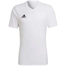 koszulka-sportowa-t-shirt-adidas-entrada-22-3xl