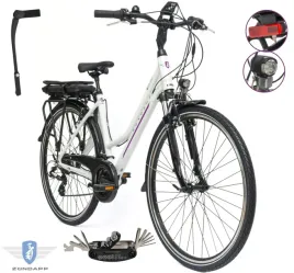 rower-elektryczny-damski-trekkingowy-28-shimano-altus-alu-250w-145ah-2025