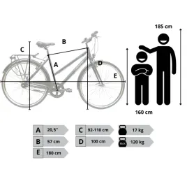 rower-damski-miejski-kola-28-shimano-nexus-lekki-blotniki-swiatla-stopka