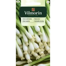 cebula-siedmiolatka-bajkal-2g-nasiona-vilmorin-wieloletnia-mrozodporna