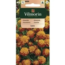 aksamitka-rozpierzchla-pelna-laura-1g-102-nasiona-vilmorin