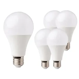 zarowka-led-eco-light-e27-6500k-900lm-10w-barwa-biala-zimna-klasyczna-x5