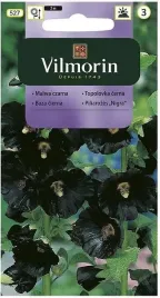 malwa-czarna-05g-vilmorin-nasiona-wieloletnia-male-wymagania-glebowe