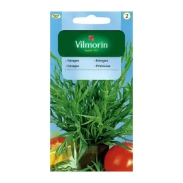estragon-507-vilmorin-nasiona-01g-wieloletni-ziola-przyprawa-lecznicza