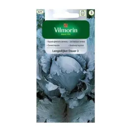 kapusta-langedijker-dauer-3-nasiona-2g-fioletowa-pozna-plenna-vilmorin