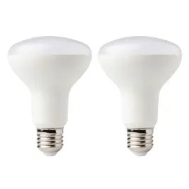 zarowka-led-e27-eco-light-4000k-1080lm-12w-barwa-biala-neutralna-grzyb-x2