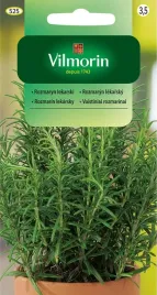 rozmaryn-lekarski-01-g-vilmorin-nasiona-wieloletni-ziola-przyprawa