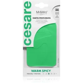 mrandmrs-fragrance-cesare-zawieszka-zapachowa-zielony-warm-spicy-12g