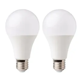 zarowka-led-eco-light-e27-6500k-900lm-10w-barwa-biala-zimna-klasyczna-x2