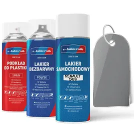 lakier-samochodowy-w-sprayu-zestaw-do-zderzakow-renault-ted69-platingrau