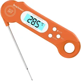 termometr-z-sonda-kuchenny-hoyiours