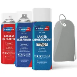lakier-samochodowy-w-sprayu-zestaw-do-zderzakow-ford-moondust-silver