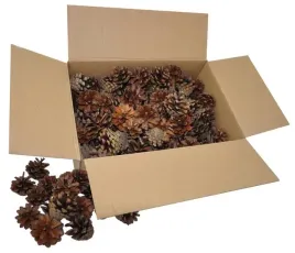 diy-szyszki-sosnowe-naturalne-ok-125-szt