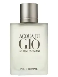 giorgio-armani-acqua-di-gio-edt-100-ml