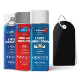 lakier-samochodowy-w-sprayu-zestaw-naprawczy-ford-panther-black