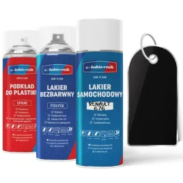lakier-samochodowy-w-sprayu-zestaw-do-zderzakow-renault-nv676-pearl-black