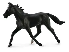 ogier-standardbred-pacer-czarny-collecta