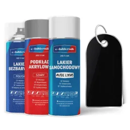 lakier-samochodowy-w-sprayu-zestaw-naprawczy-audi-ly9b-brilliant-black