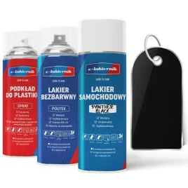 lakier-samochodowy-w-sprayu-zestaw-do-zderzakow-ford-panther-black