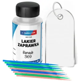 lakier-zaprawkowy-zaprawka-renault-dv369-blanc-glacier-pedzelki-patyczki
