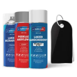 lakier-samochodowy-w-sprayu-zestaw-naprawczy-renault-nv676-pearl-black