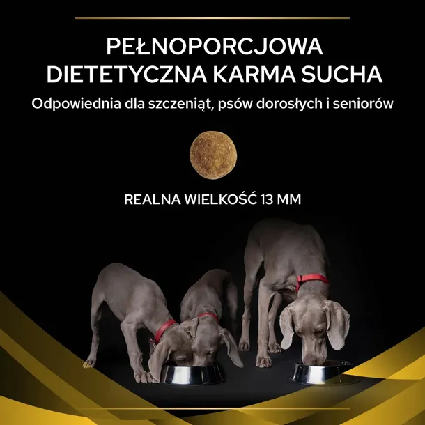 purina-pro-plan-veterinary-jm-joint-mobility-12kg-stan-nowy