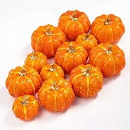12x-dynia-jesienna-zestaw-kolorowych-dyn-dekoracja-jesien-halloween-dynie