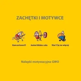zachetki-i-motywce-ogolne-192-naklejki-gwo