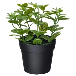 ikea-fejka-sztuczna-roslina-doniczkowa-do-wewnatrz-na-zewnatrz-mieta-9-cm