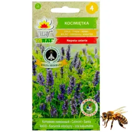 kocimietka-nepeta-cataria-nasiona-roslina-miododajna-04-g