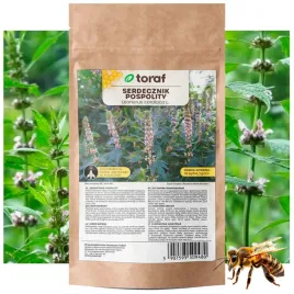 serdecznik-pospolity-nasiona-roslina-miododajna-100-g