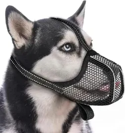 kaganiec-dla-psa-kaganiec-odblaskowy-siatka-bezpieczny-wygodny-uniwersalny