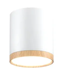 oprawa-oswietleniowa-sufitowa-natynkowa-candellux-lighting-5-w-zintegrowane