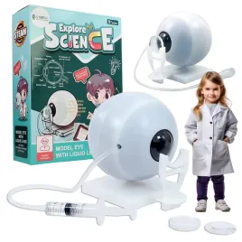 galka-oczna-model-anatomiczny-zestaw-edukacyjny-budowa-i-dzialanie-wzroku
