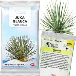 mrozoodporna-juka-29c-yucca-glauca-juka-srebrzysta-do-ogrodu-5-nasion