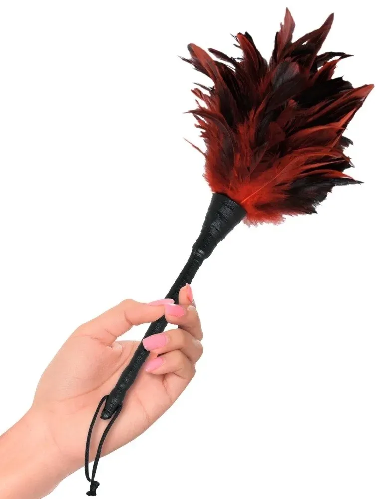 ffs-frisky-feather-duster