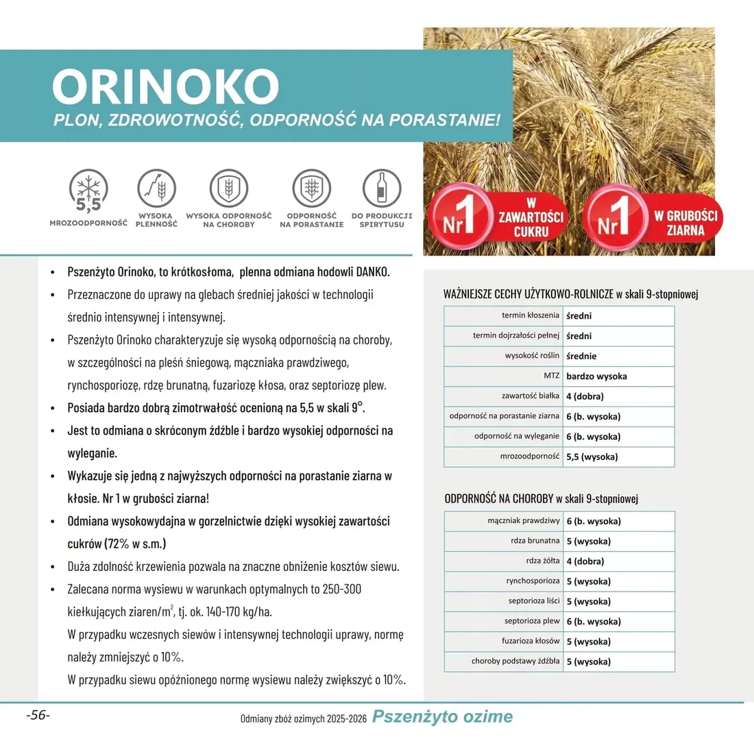 orinoko-25kg-pszenzyto-ozime-c-1-kwalifikat-c1-material-siewny-2025