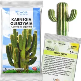 karnegia-olbrzymia-nasiona-carnegiea-gigantea-kaktus-mrozoodporny-10-nasion