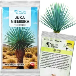 nasiona-yucca-rigida-juka-niebieska-18-c-do-ogrodu-5-swiezych-nasion