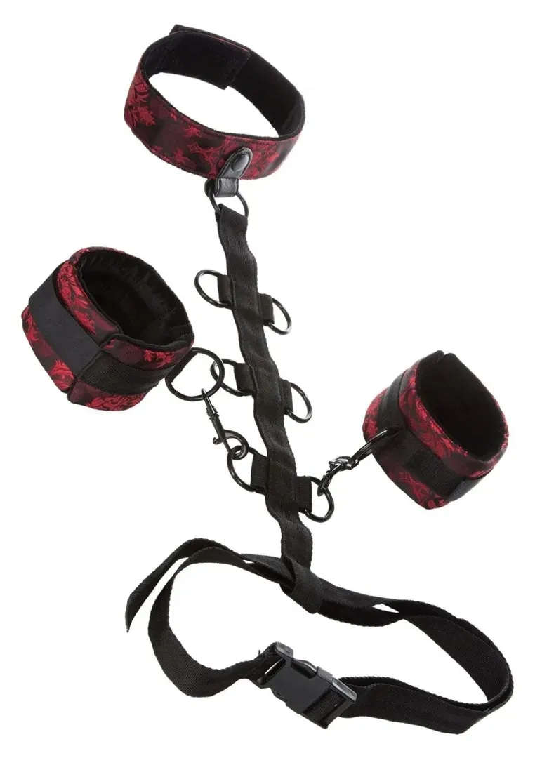 scandal-collar-body-restraint-black