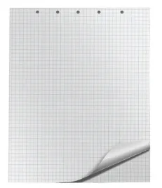 blok-do-flipchartow-kratka-65x100cm-20-kart-bialy