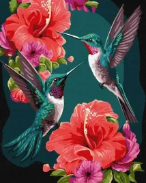 malowanie-po-numerach-40x50-cm-metallic-szmaragdowe-kolibry-1szt-w-pudelku