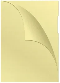 obwoluta-l-pp-a4-120mikr-100szt-zolta-koszulki