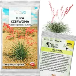 mrozoodporna-juka-czerwona-yucca-hesperaloe-parviflora-3-nasiona-juki